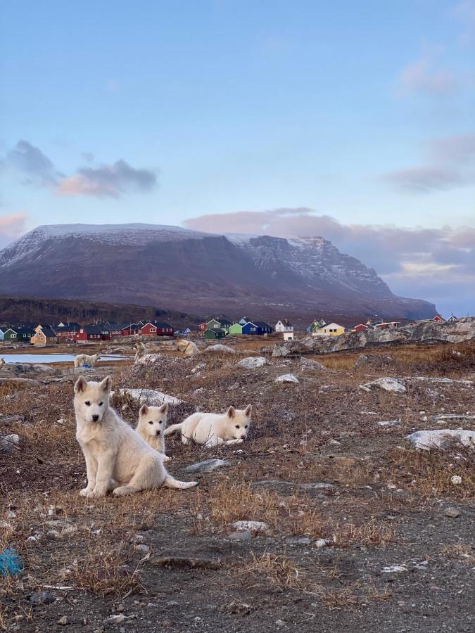 Hotel Disko Island Qeqertarsuaq Екстериор снимка